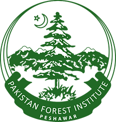 Pakistan Forest Institute Peshawar Admissions