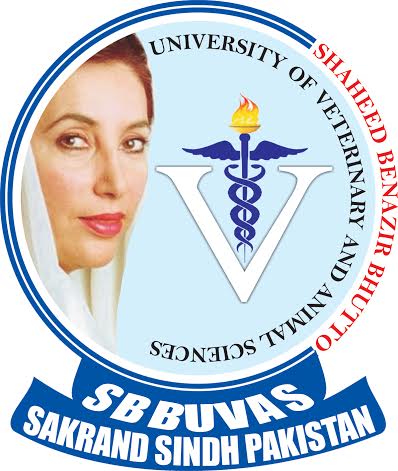 Shaheed Benazir Bhutto University Peshawar Admissions
