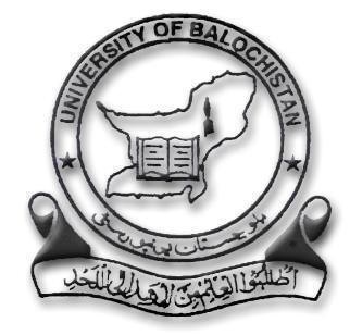 University Of Balochistan Quetta Admissions